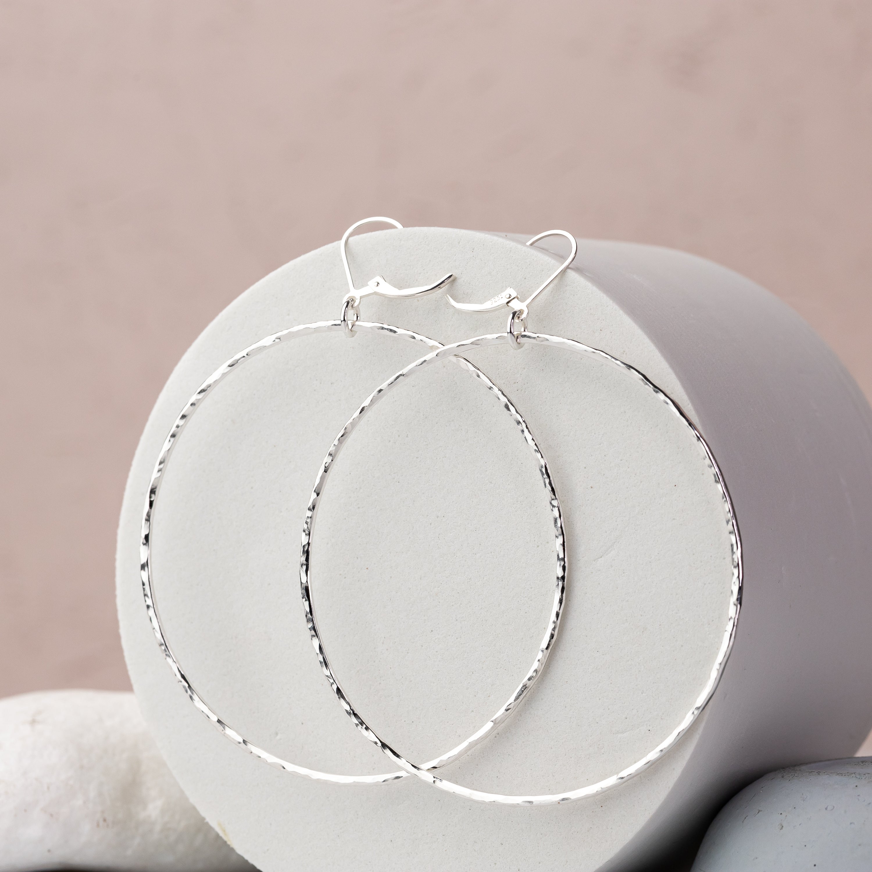Big Circle Lever Back Earrings