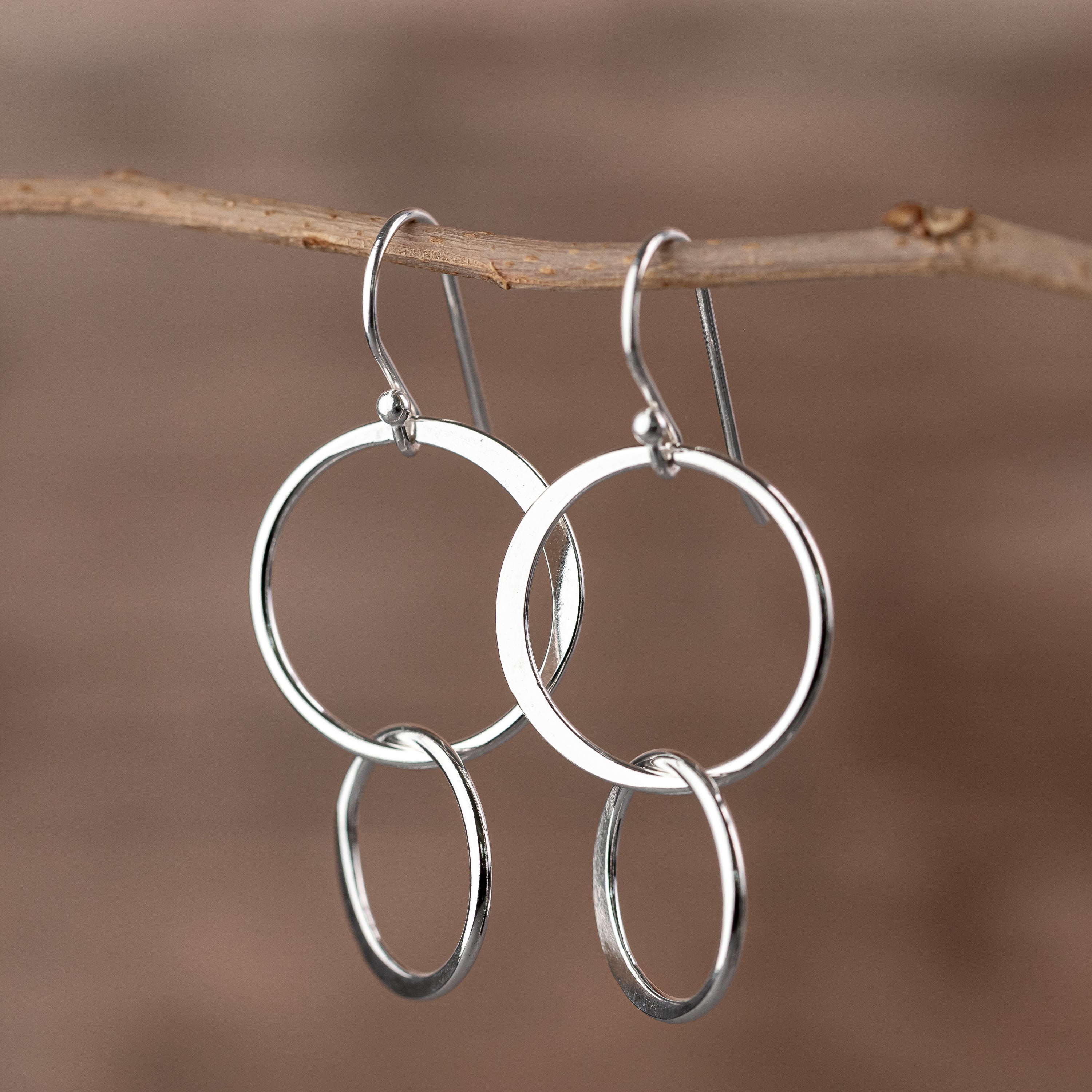 Double Circle Dangle Earrings